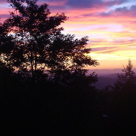 Forest View B&B Gavi Exterior foto